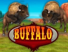 wild bet777 apk
